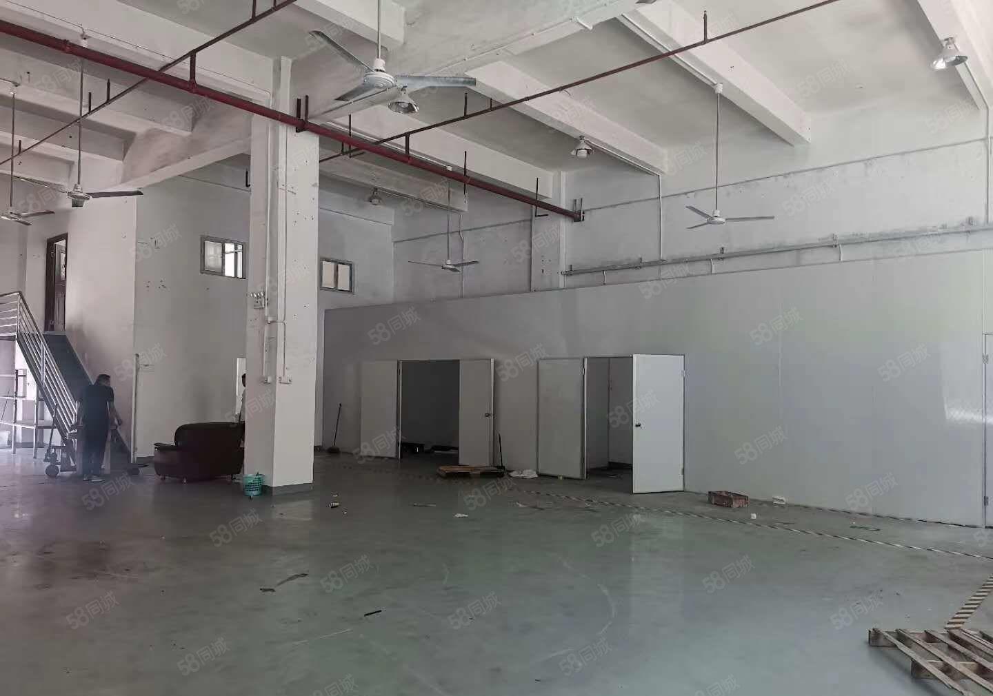 凤岗新出一楼500平方仓库出租,可分租，临街靠路边，水电齐全