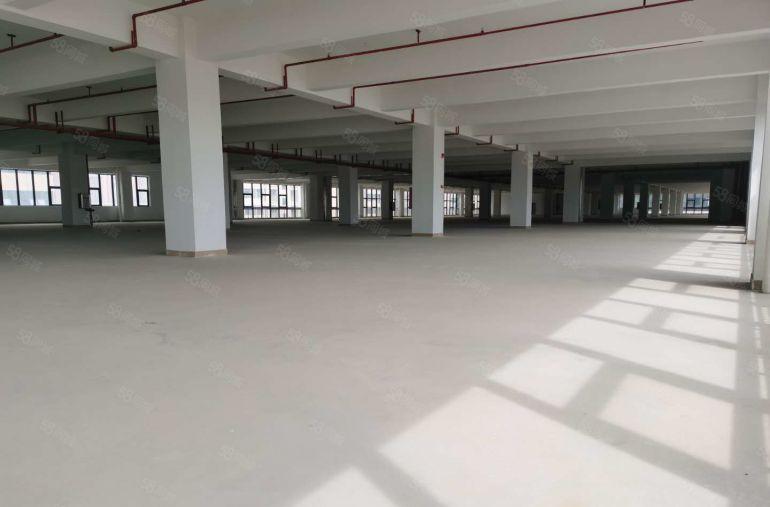 14元起租雁田花园式厂房楼上3000平物流仓厂房出租可分租