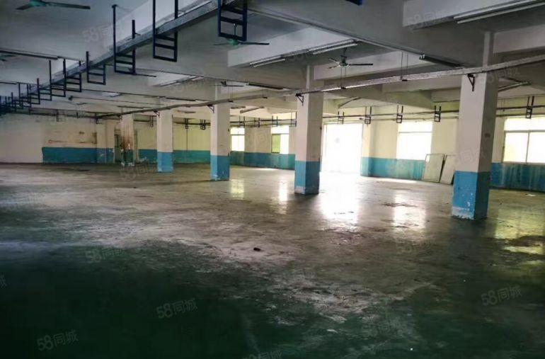 凤岗实际面积4500平方米独院厂房出租）已经空出）水电齐全