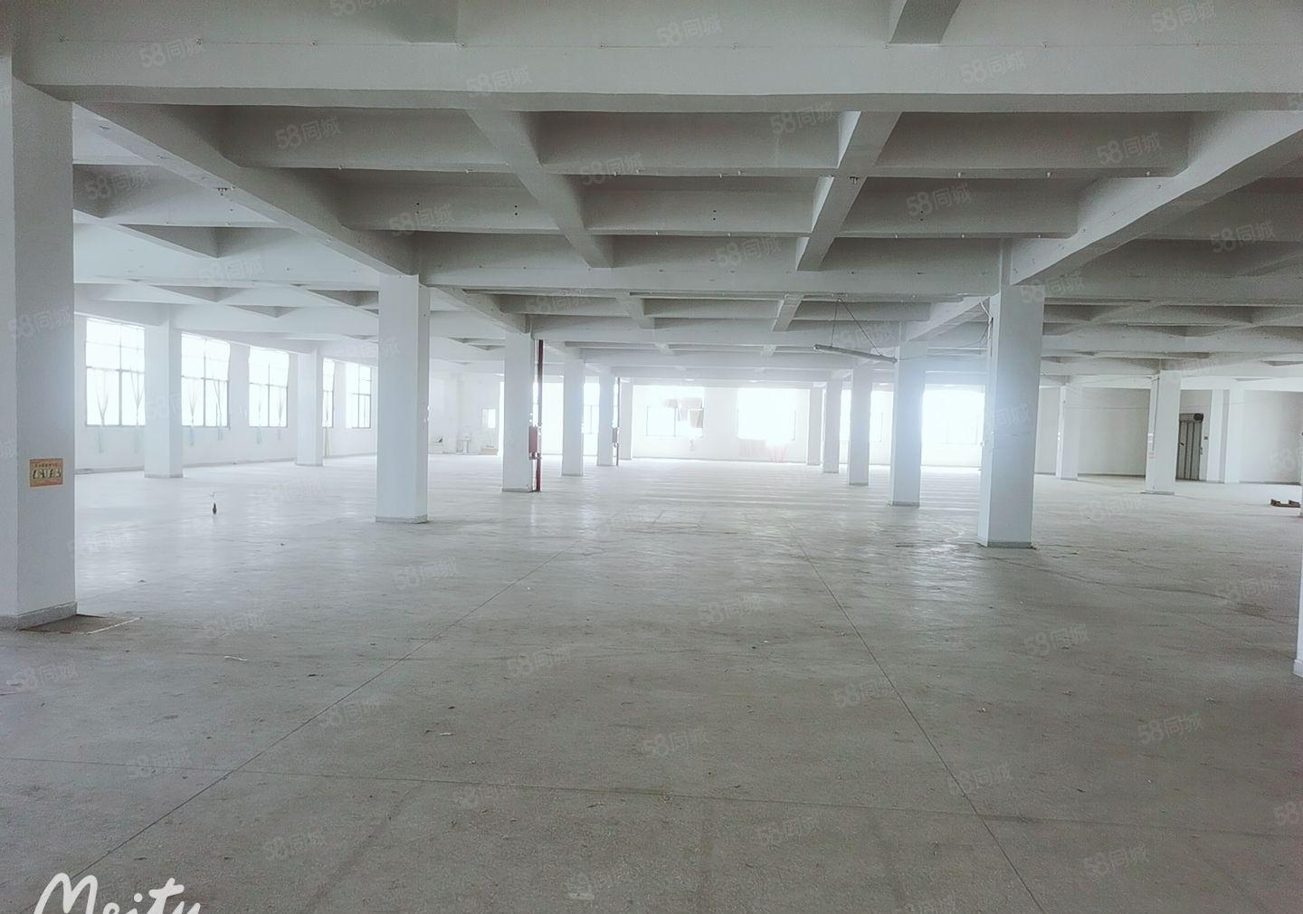 凤岗油甘埔原房东厂房出租2000平无公摊配两部大货梯靠近主路