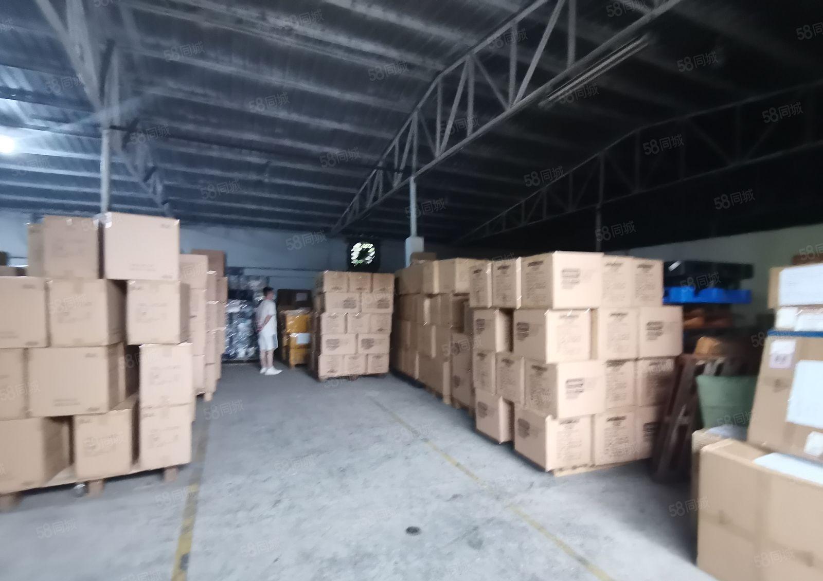 小面积出租！油甘埔置信工业原房东800平钢构仓库厂房可分租