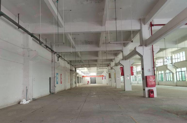 凤岗金凤凰原房东厂房出租1000平一楼高度6米带牛角可分租