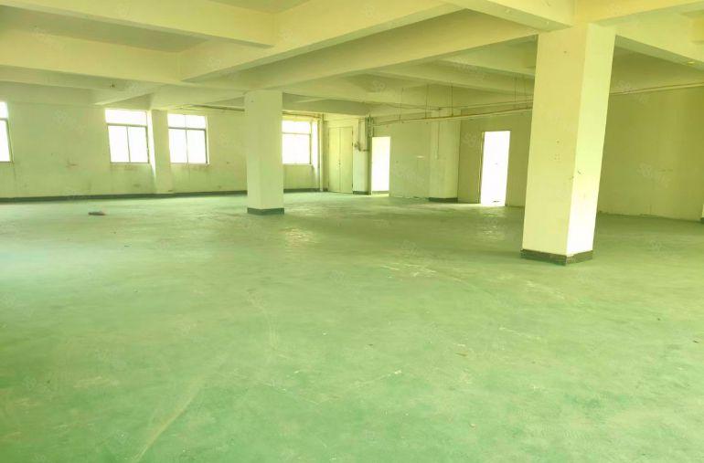 凤岗原房东实际面积出租450平打包价7000元 楼上带货梯