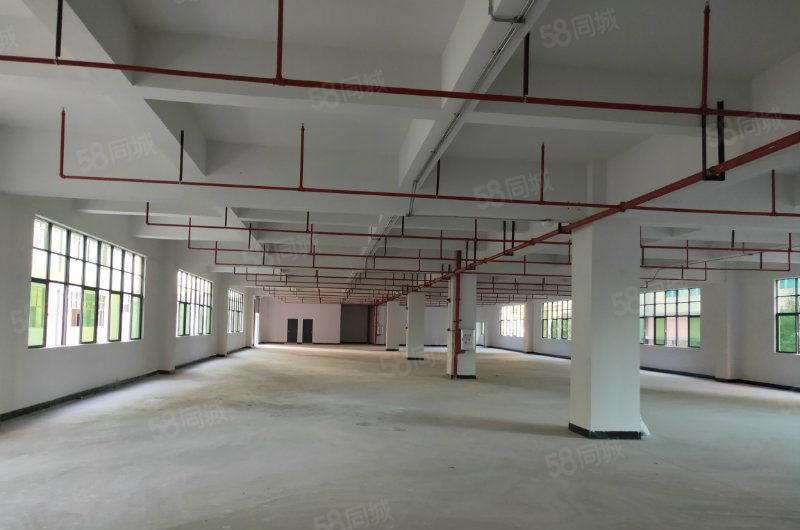 凤岗独院4200平米厂房火爆招租(可分租）