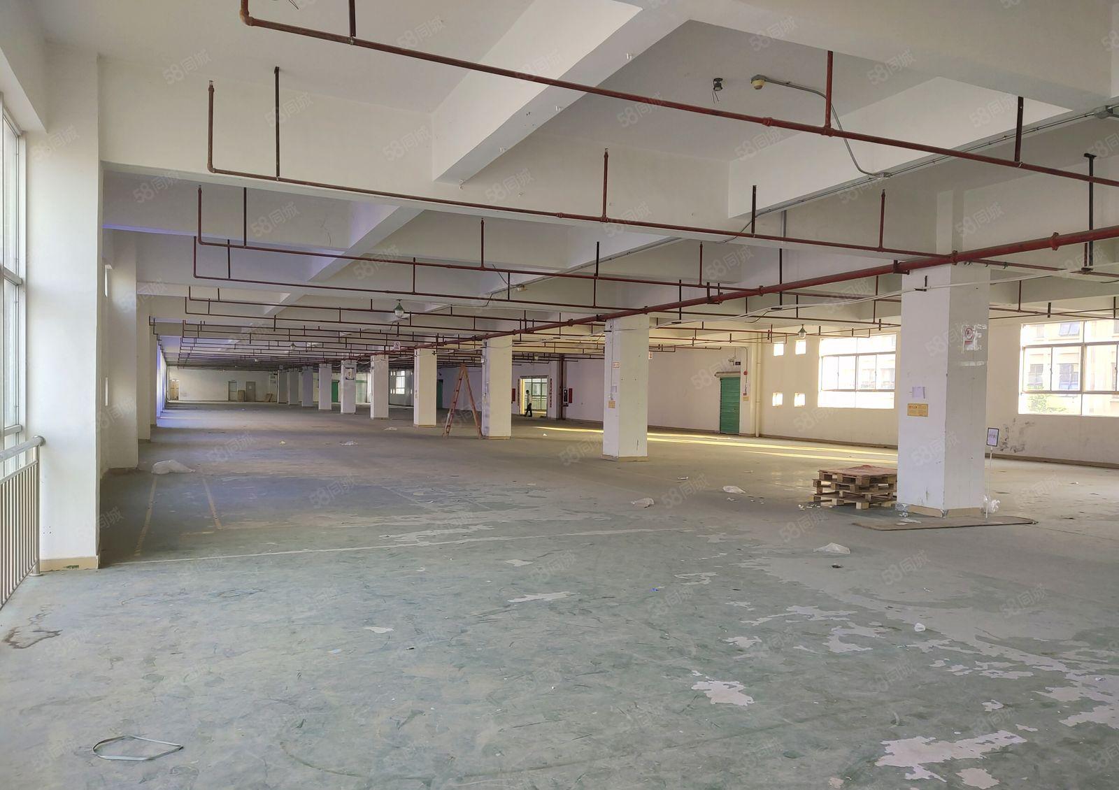 凤岗官井头大龙工业区独栋2800平红本标准仓库厂房出租可分租