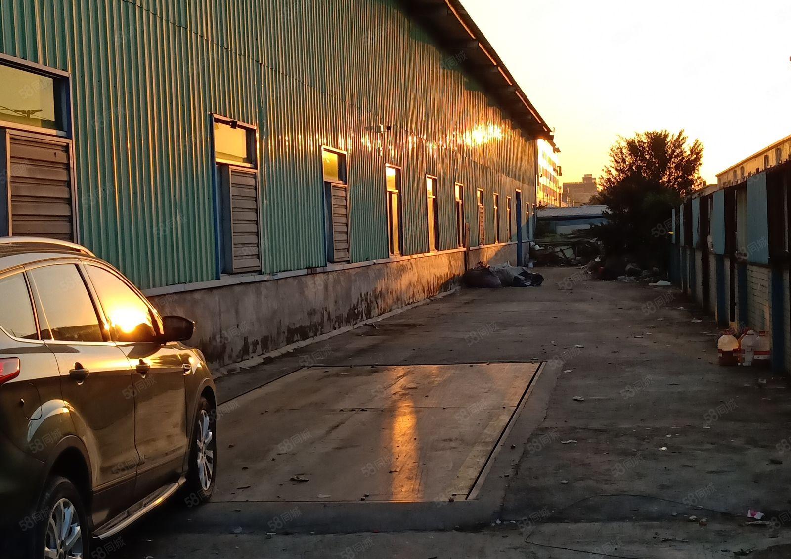 大型园区单层6米钢结构厂房业主直租25000平米可分500平