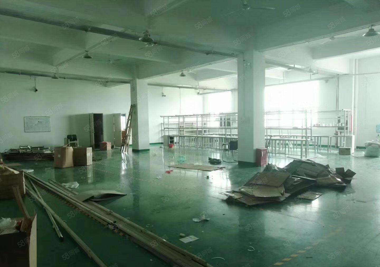 凤岗油甘铺二楼600平方带办公室装修厂房出租