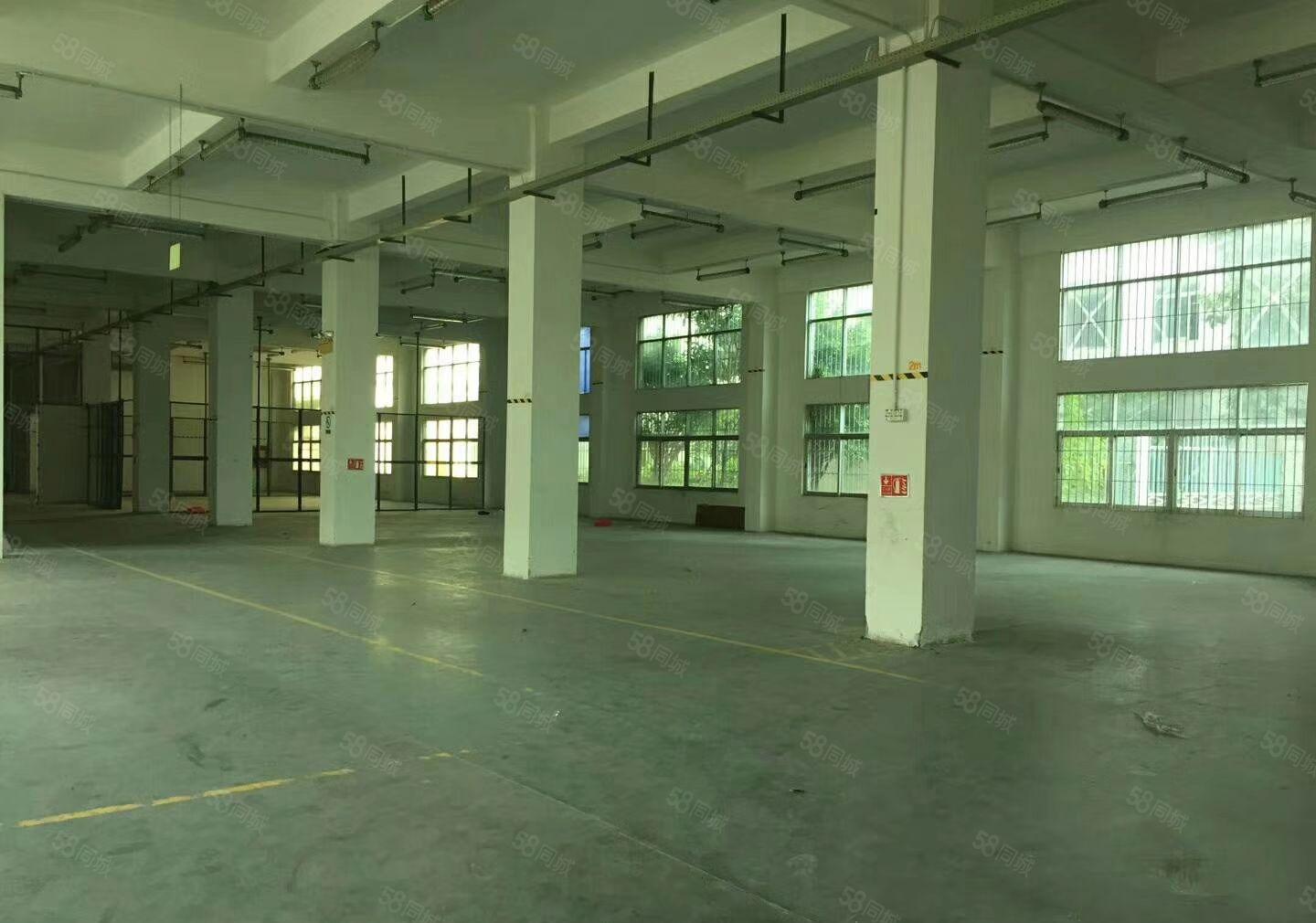 凤岗五联原房东独院3000平方带装修厂房出租