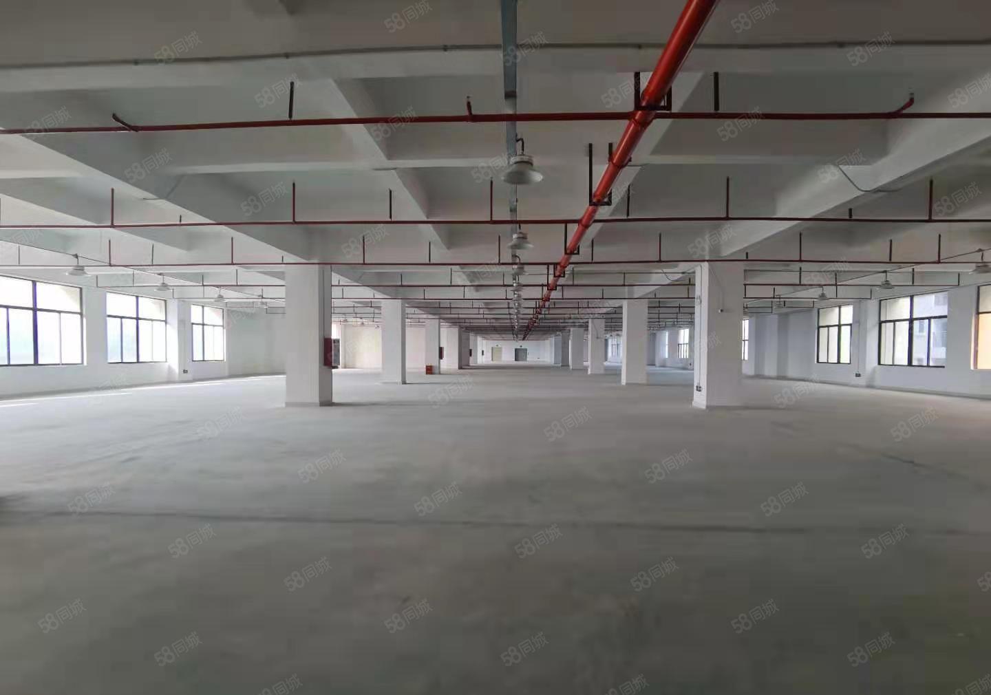 原房东！凤岗雁田红本独院5万平面积大小可分厂房仓库出租