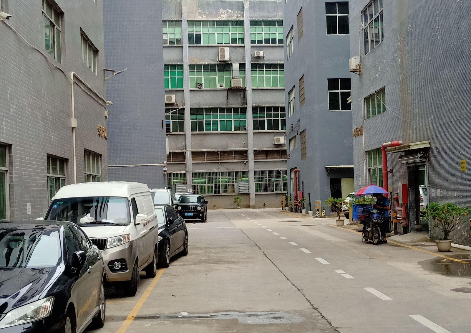 布心高新科技园1500平米标准一楼厂房出租带精装修免中介费