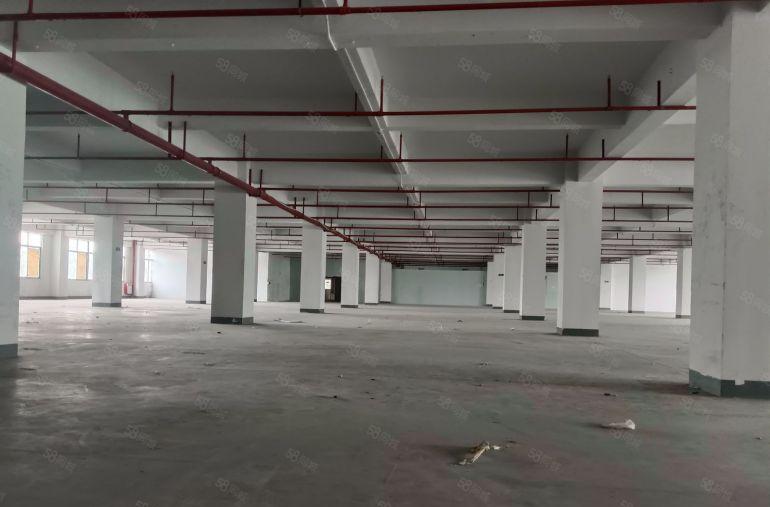 凤岗浸校塘原房东厂房三楼3500平出租，带办公室装修现成水电