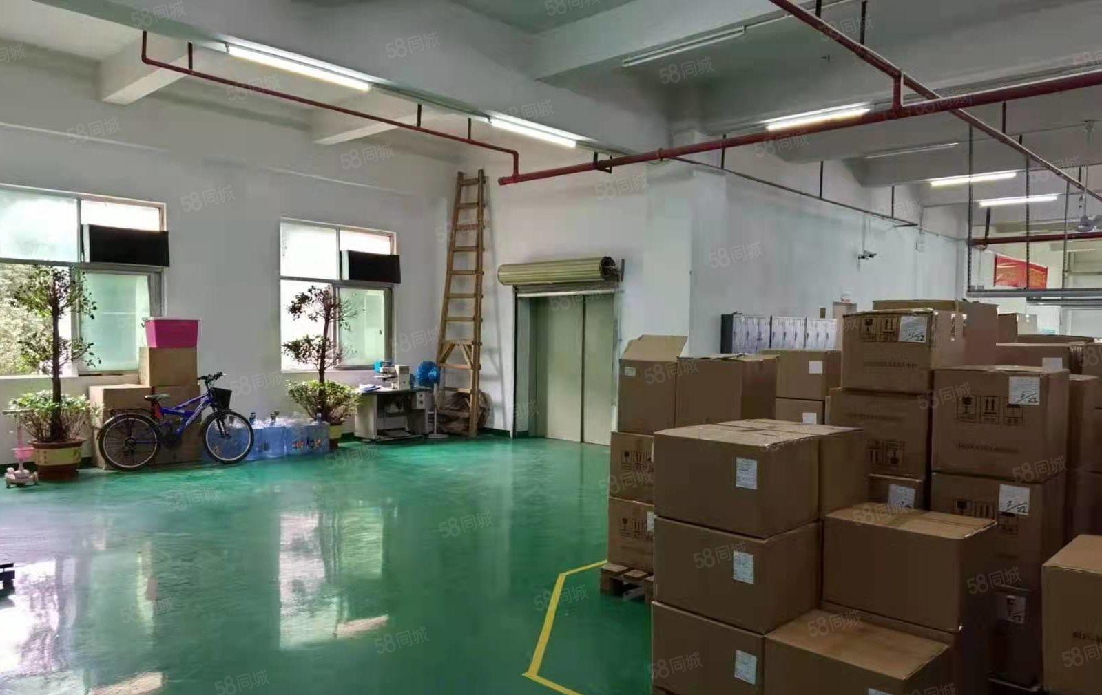 好招工 凤岗包装 皮具 手袋 电子装配线材厂房出租1530平