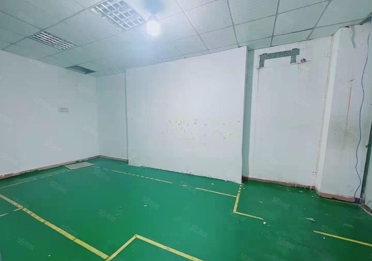 凤岗空出无尘车间780平方 豪华办公室装修.