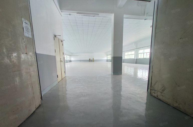 无公凤岗雁田1500平原房东尾盘低价出租，层高4米全新地坪漆