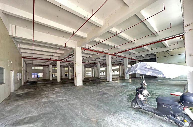 凤岗雁田布心新出一楼3000平方二楼1300平方原房东低价租