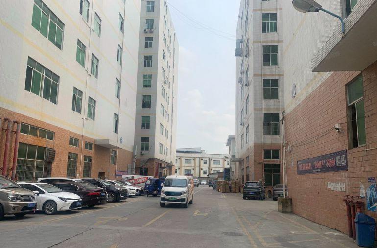 凤岗大型工业园厂房50000平方米500平起租好招工