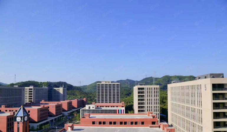 一手房东独栋8000平！凤岗单层800~4000平无公摊出租