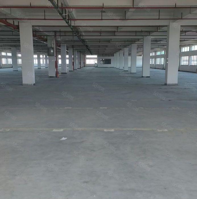 凤岗物流园1000平起适合电商物流仓储等行业空地大低价出租