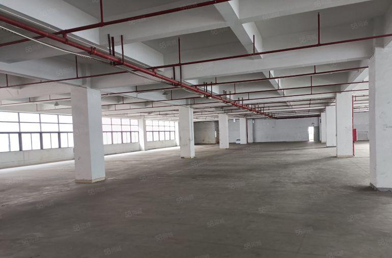 凤岗镇中心高大上园区出租1万平米带现成装修