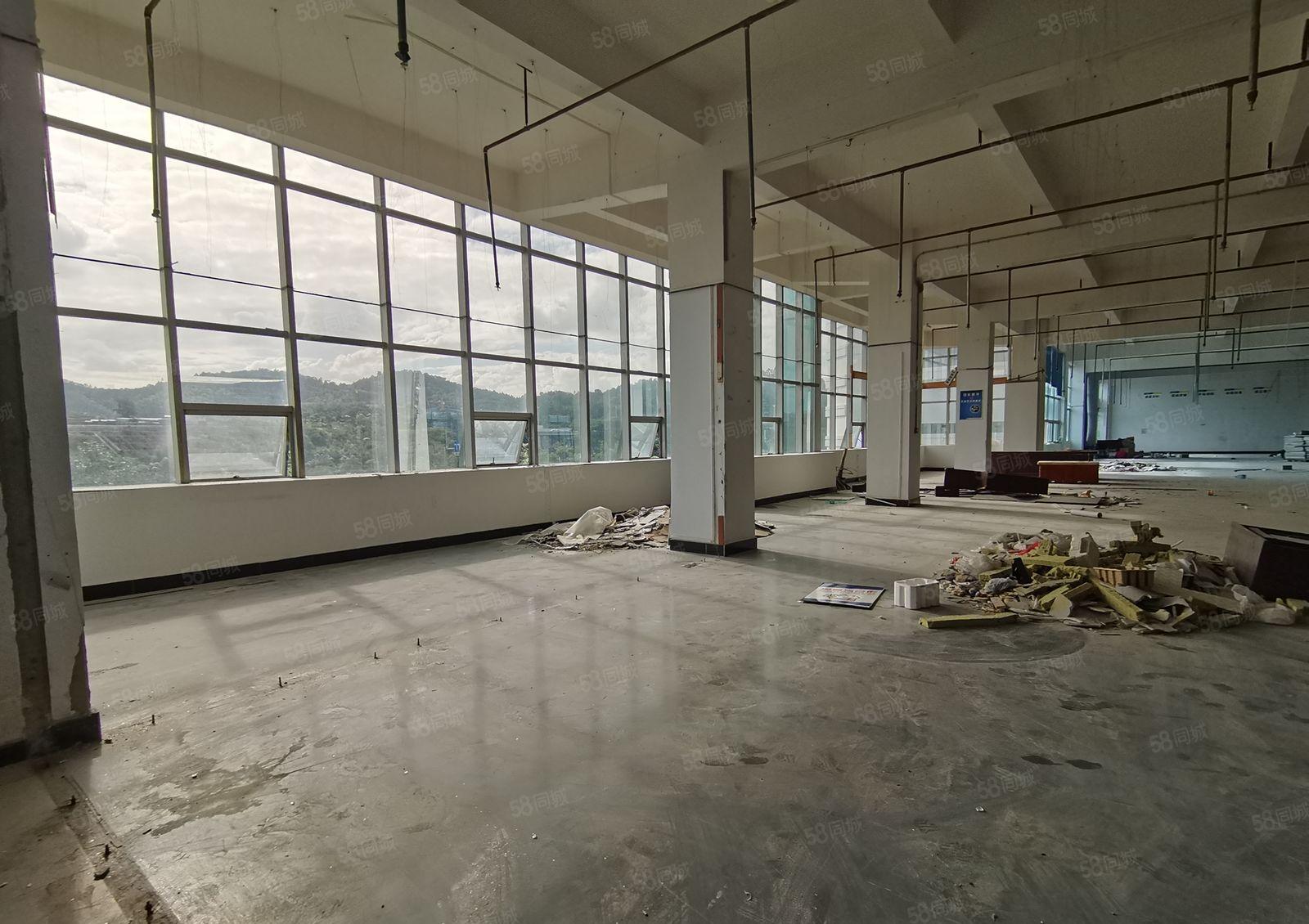 凤岗雁田布心工业区原房东3000平独栋红本仓库厂房出租可分租