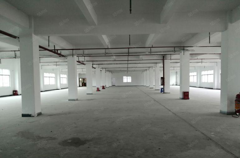 凤岗金凤凰工业区原房东独院22000平出租带办公室装修可分租