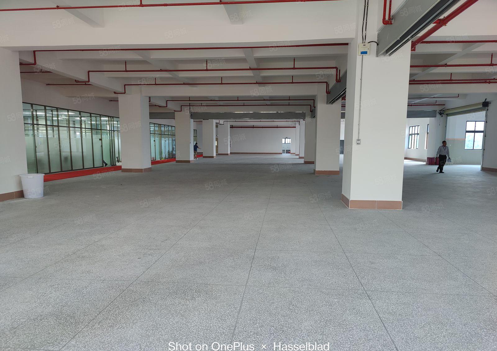 1000起租凤岗近平湖2万平物流园厂房出租带卸货平台超大空地