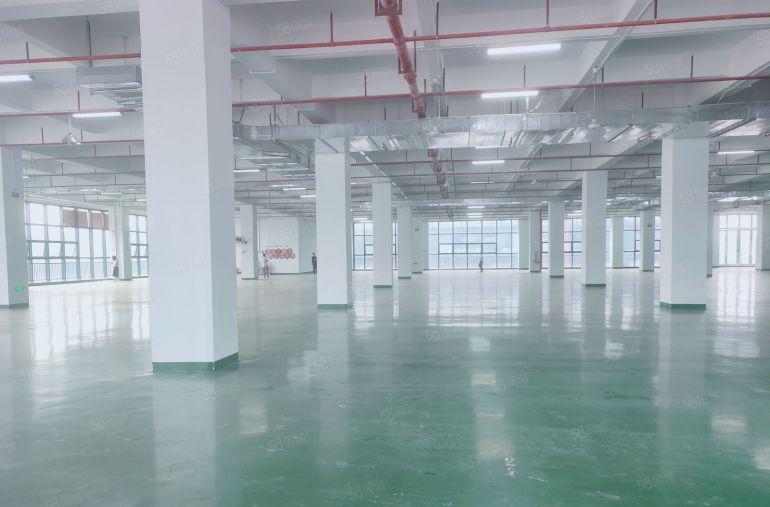 凤岗标准楼上4200平5吨货梯 现成水电装修 拎包即可生产