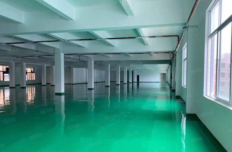 官井头原房东2楼2500平方豪华装修全新地坪漆超大空地好招工