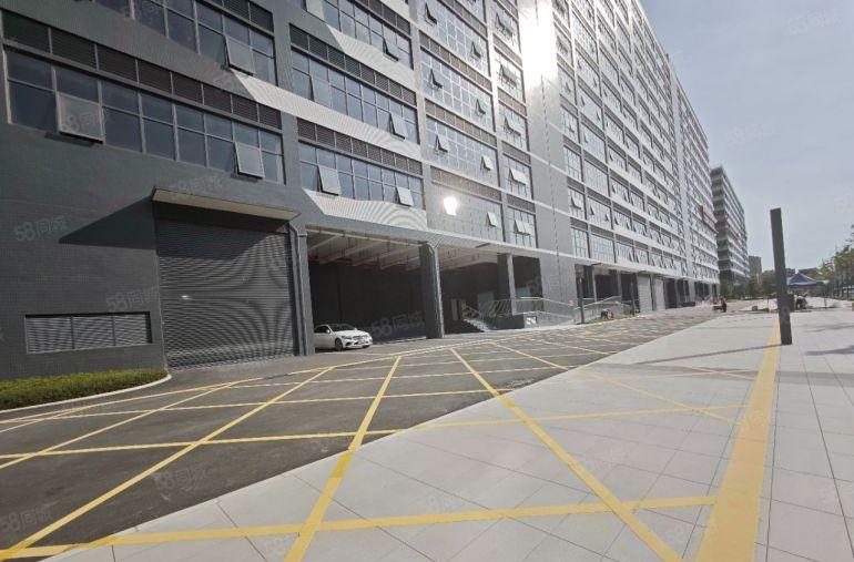 凤岗金凤凰原房东楼上5000平整层，可分租，全新厂房带卸货平