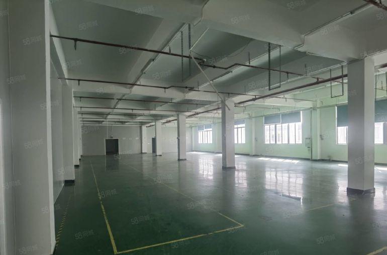 精致厂房）五联精选1500平方米厂房）一楼带牛角楼上带装修