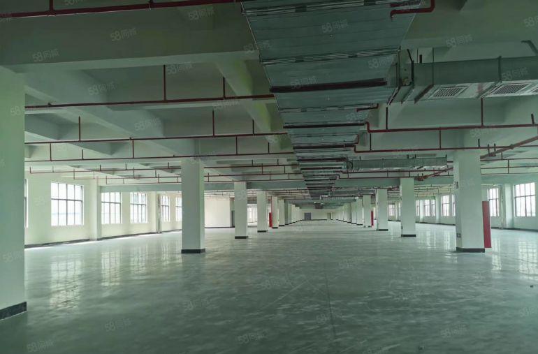 凤岗一手房东全新厂房3万平单层4000平大小可分厂房仓库出租