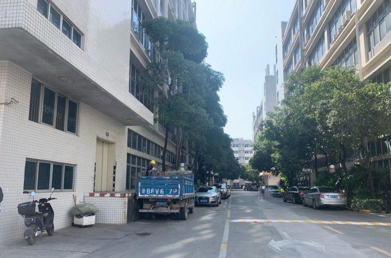 原房东厂房新出一楼800平方，居然仅租20元 性价比高