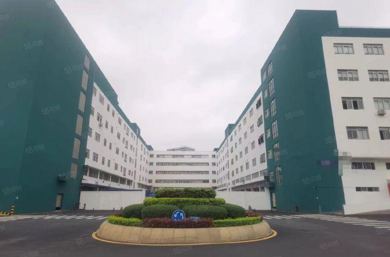 电商仓储物流仓！凤岗新出36000平独门独院厂房仓库出租