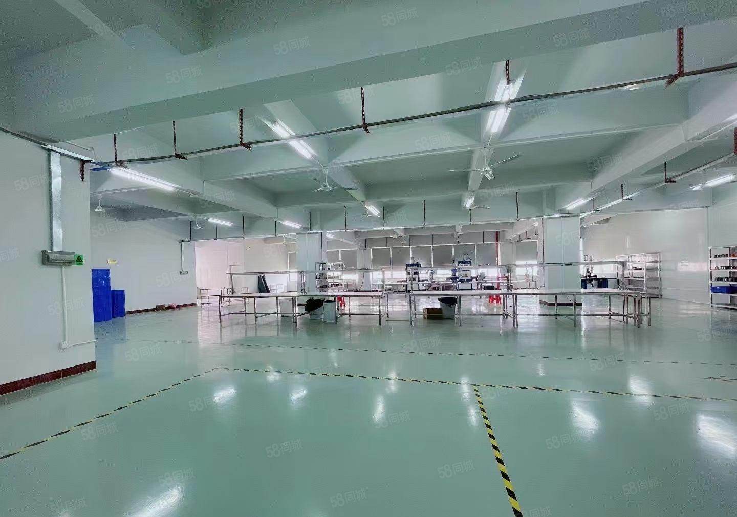 凤岗镇官井头2楼1500平方，3吨电梯，现成装修，无需转让费