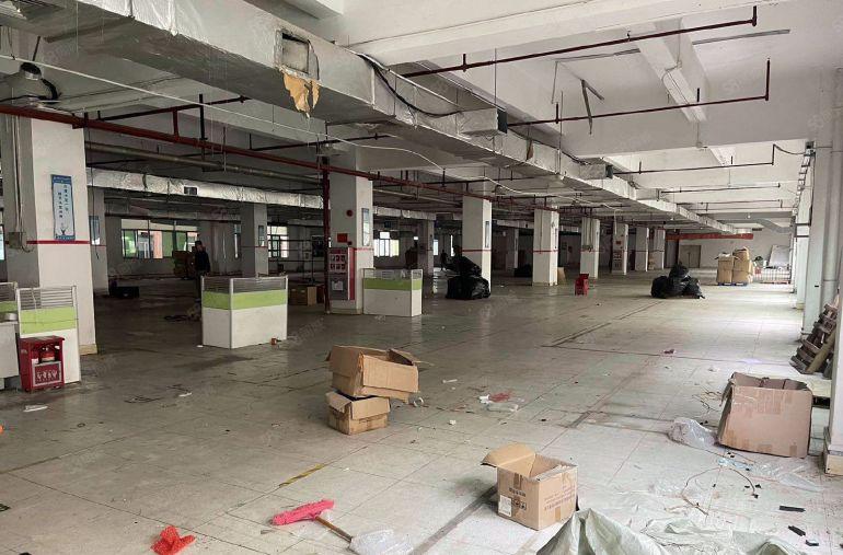 花园式独院独栋厂房）凤岗新出8000平方米厂房出租可分租