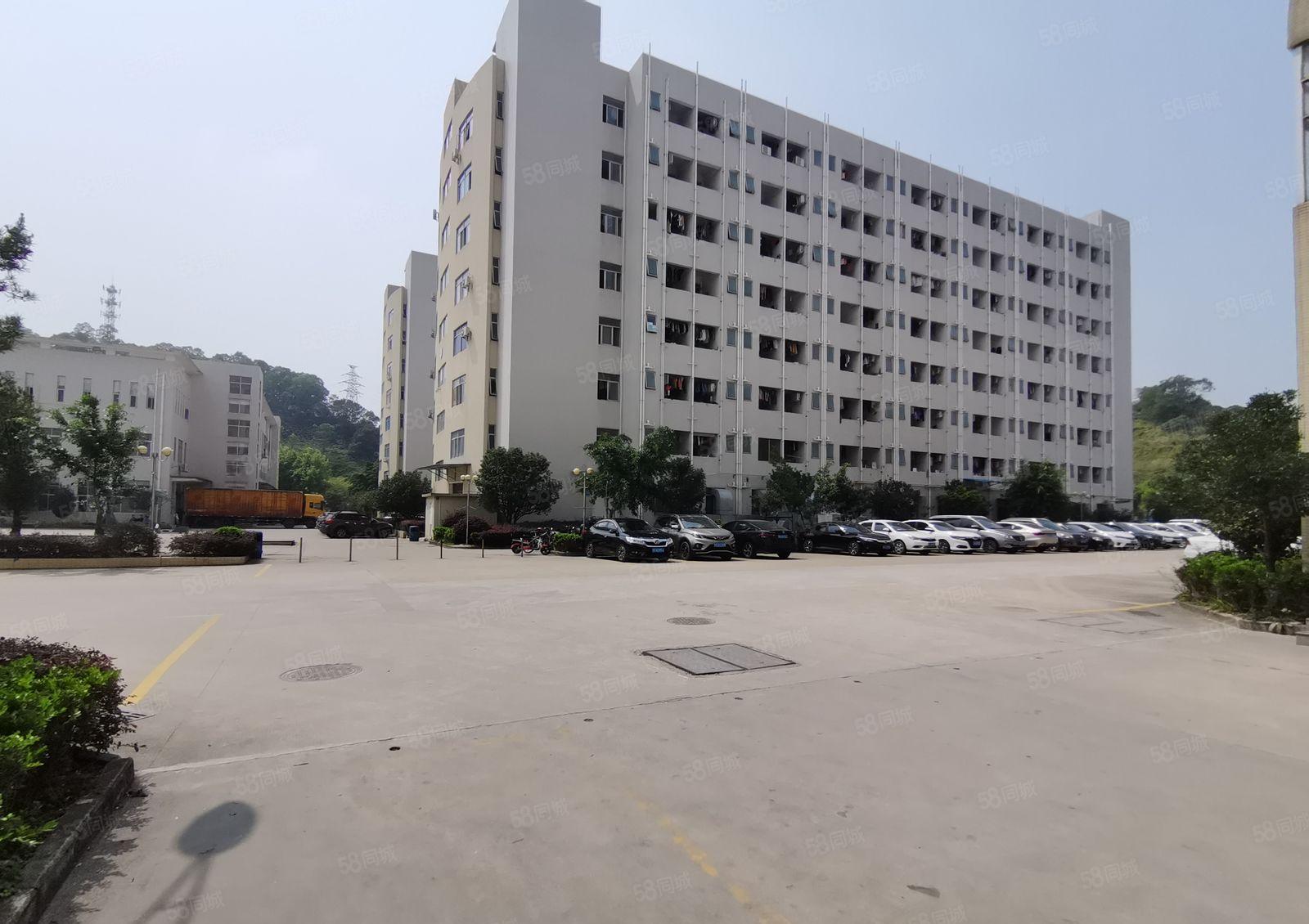 东莞凤岗五联碧湖大道独门独院5000平方厂房出租带装修靠深圳