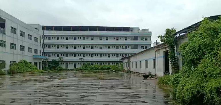 500平起分凤岗油甘埔原房东独门独院厂房出租空地大带红本