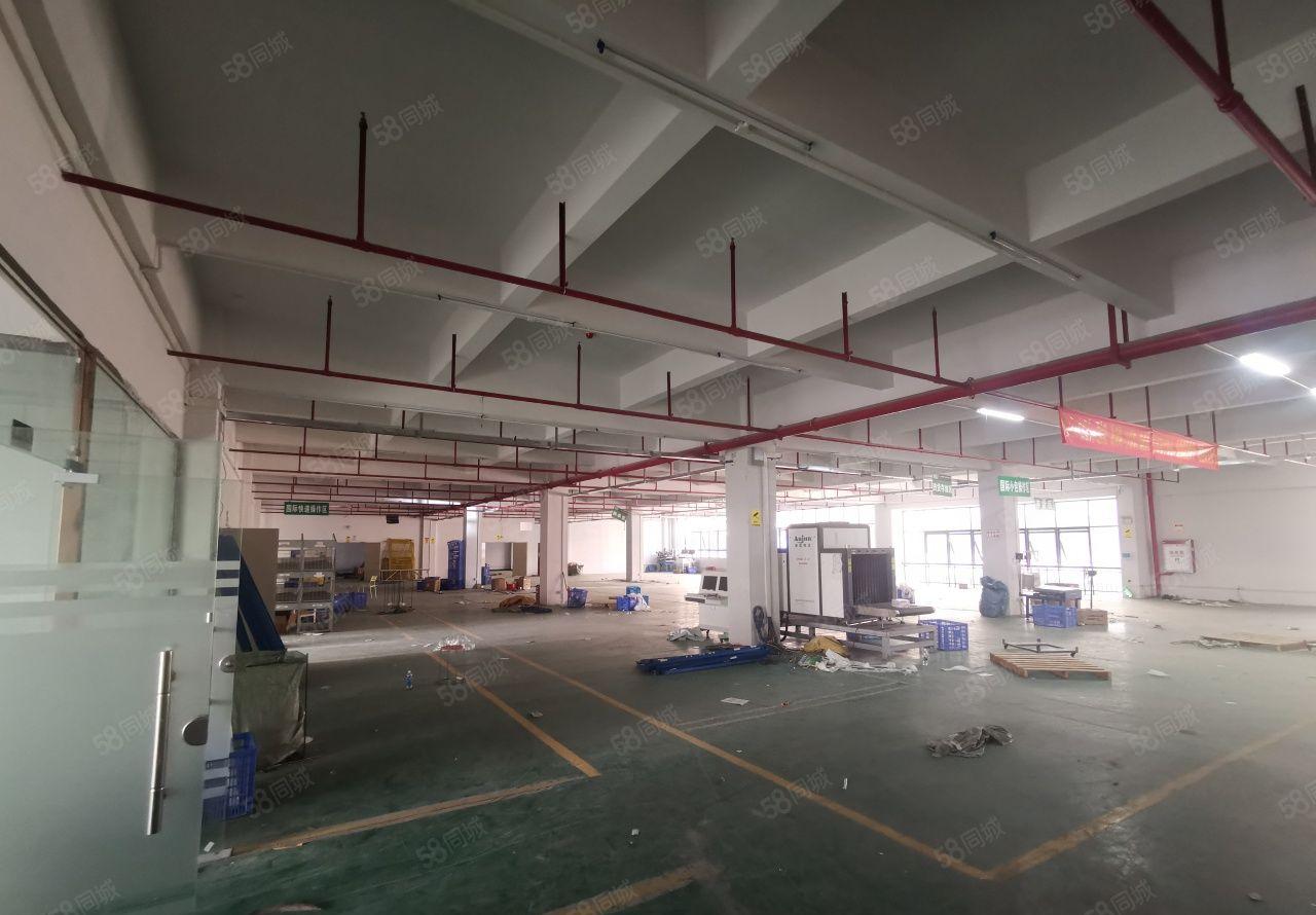 凤岗雁田月底空出独门独院花园式8000平方出租（可以分租）