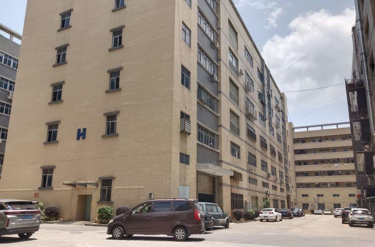 凤岗雁田原房东带办公室精装修标准厂房楼上1000平出租可分租