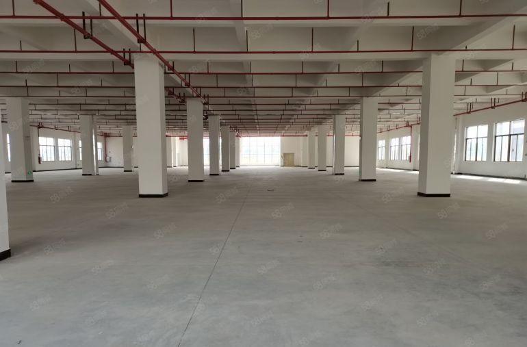 凤岗镇中心附近全新独栋标准36000重工业厂房招租