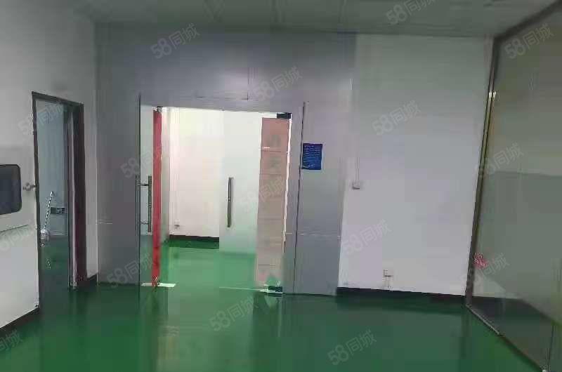 凤岗浸校塘楼上电子组装加工 现成无尘车间厂房出租550平方