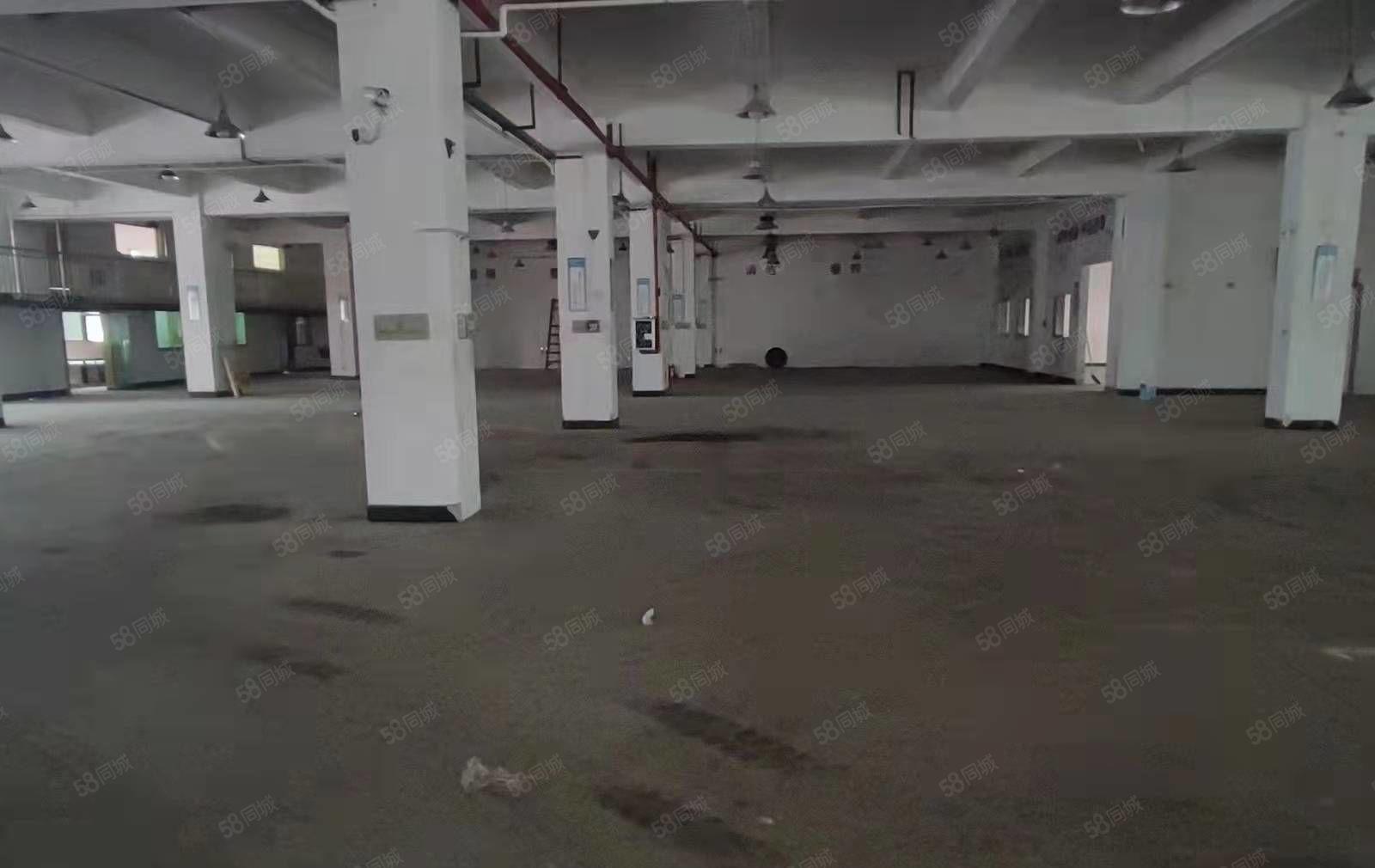 凤岗竹尾田靠外环高速附近独院一楼厂房出租2200平 5米高