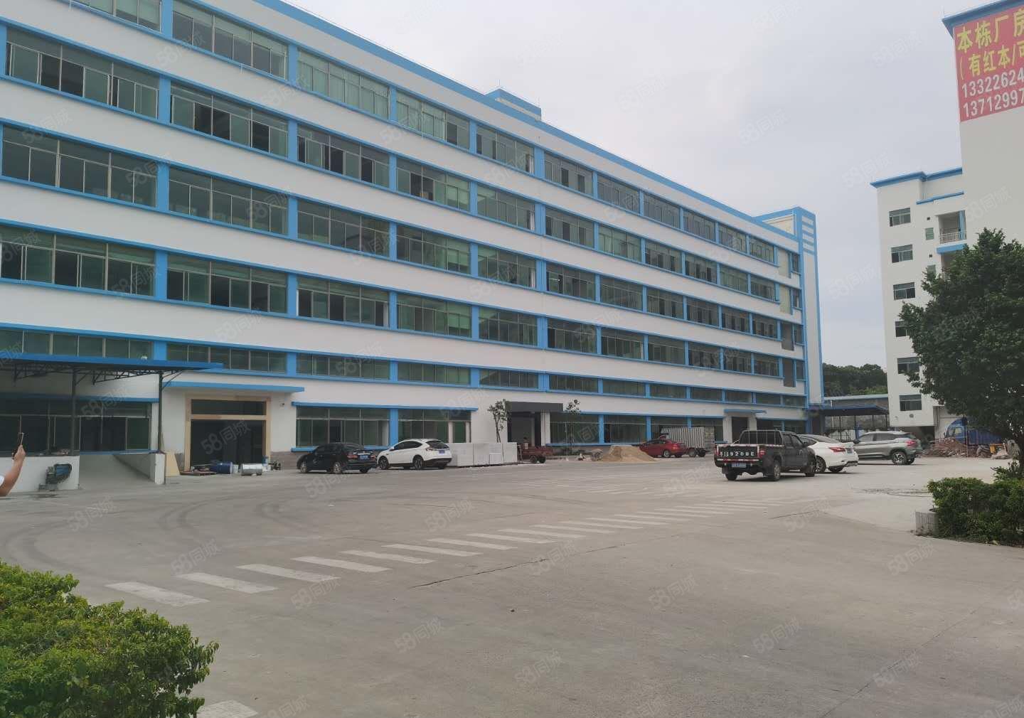 凤岗新出原房东花园式红本厂房5000平厂房出租可分租