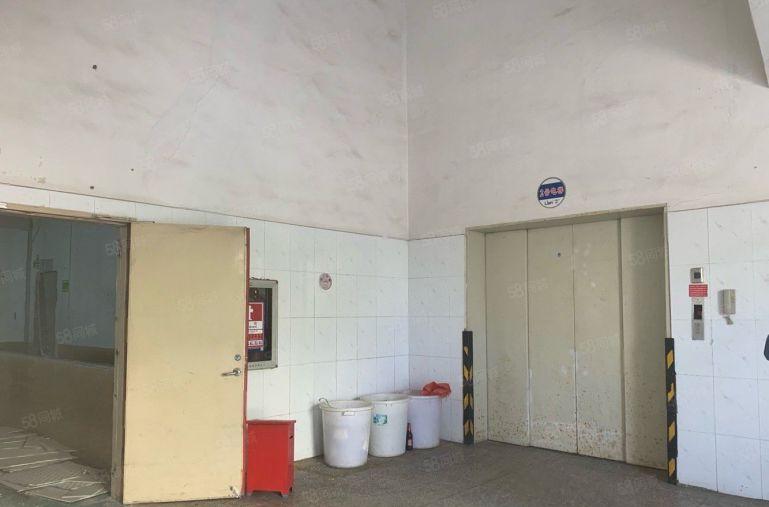 原房东厂房新出一楼800平方，居然仅租20元 性价比高