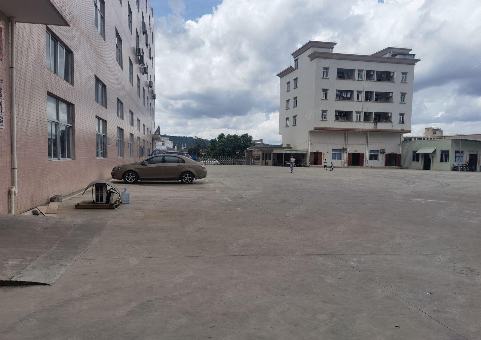 官井头原房东一楼980平15800元打包价带行车带环评证