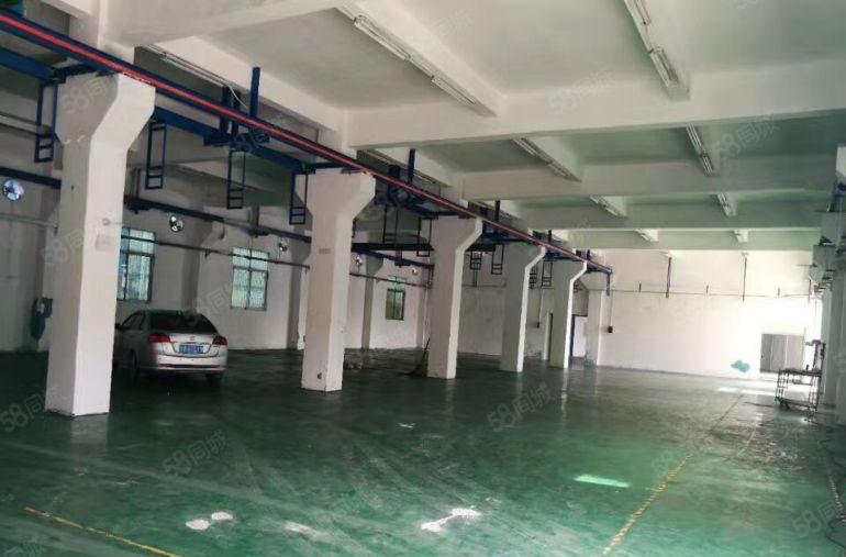 凤岗实际面积4500平方米独院厂房出租）已经空出）水电齐全