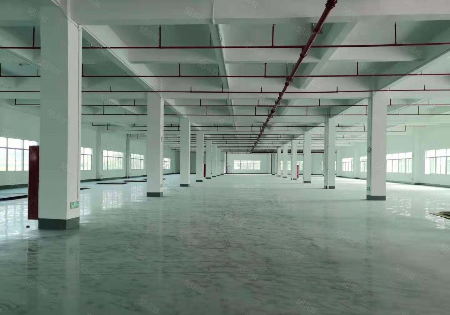 1000平方起凤岗雁田一手房东红本独院厂房5万平厂房仓库出租