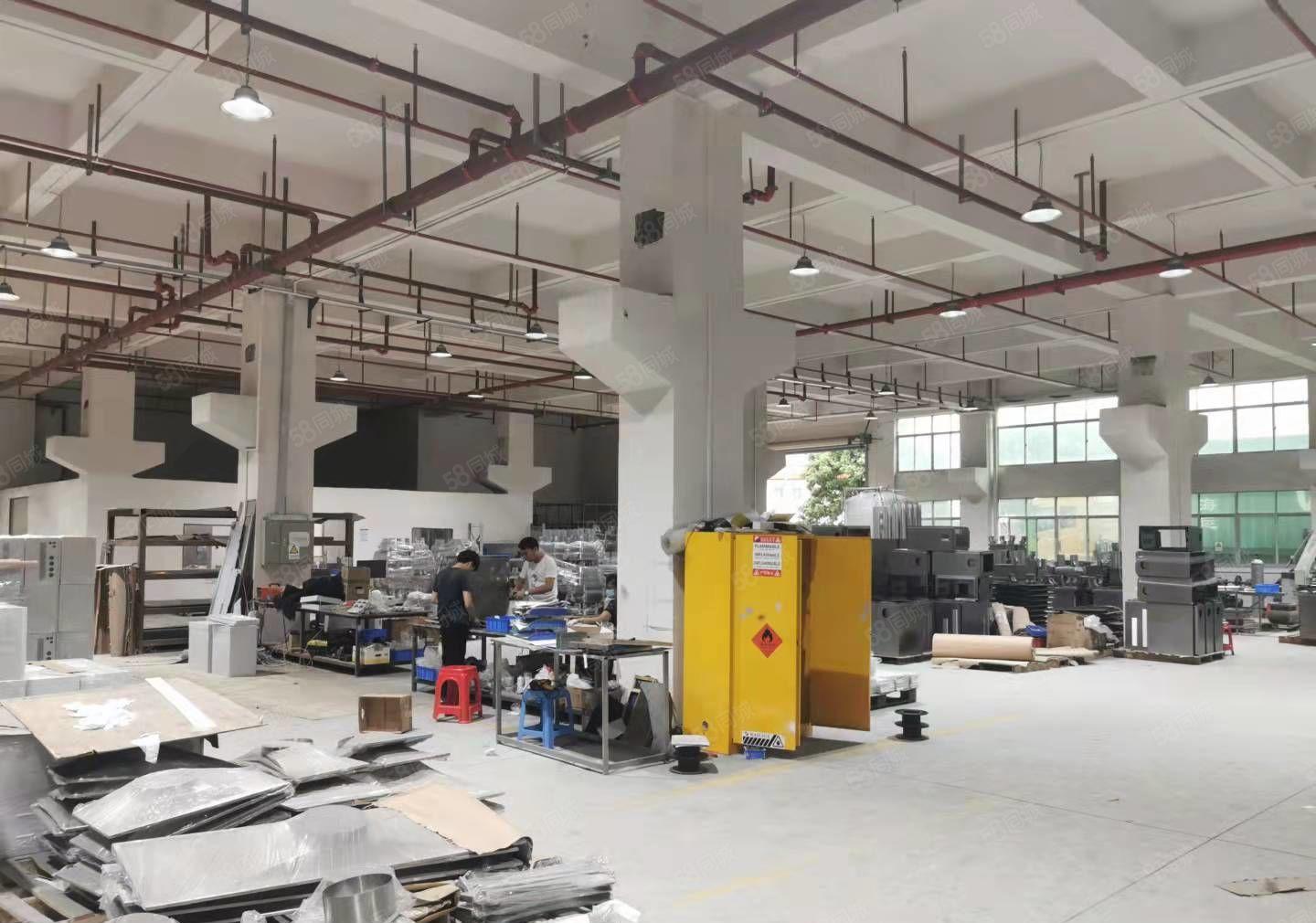 凤岗7米高 带牛角注塑五金模具厂房出租一楼1200平 空地大