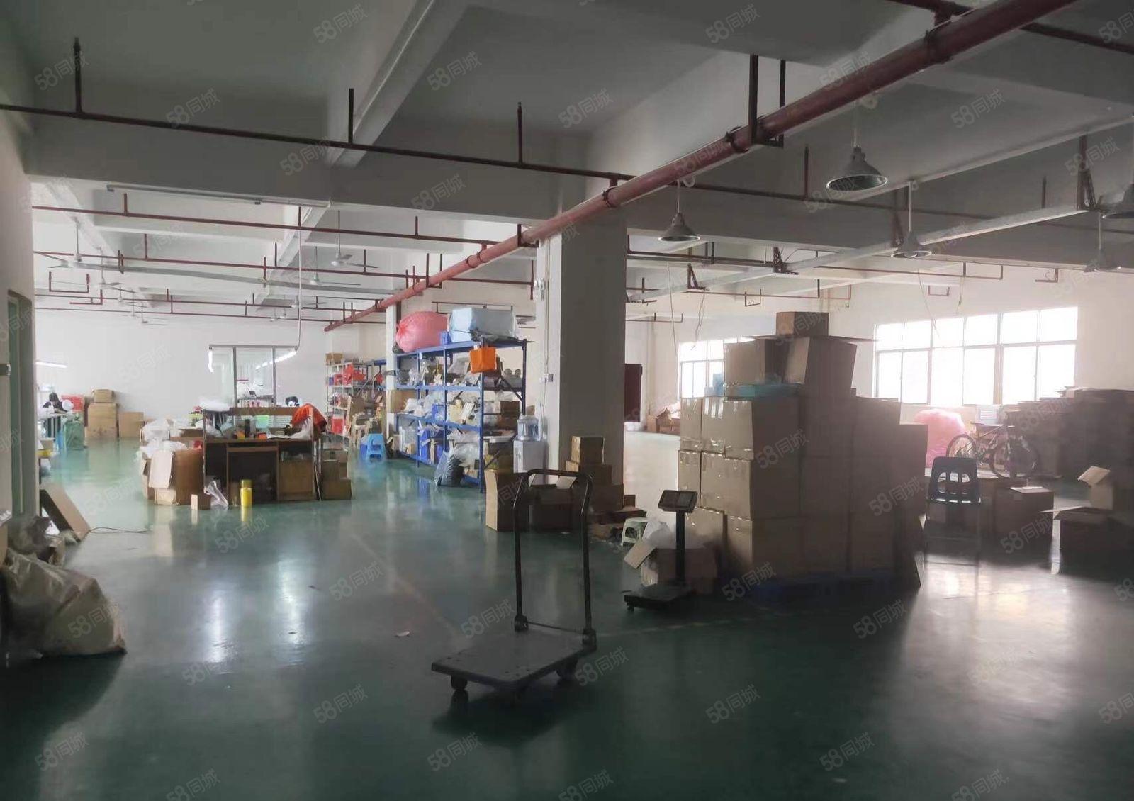 凤岗雁田布心新出楼上1000平方，现成豪华装修.