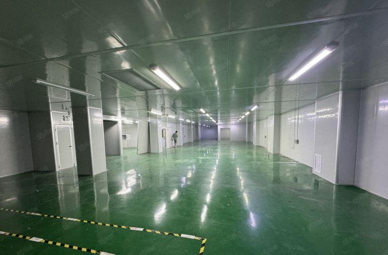 手机配件无尘车间800平凤岗雁田原房东厂房带精装修办公室